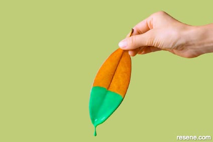 Vegan paint products