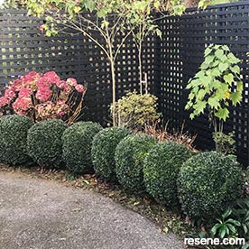 Garden trellis 
