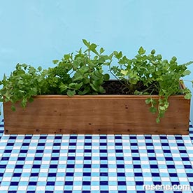 Rustic herb grower