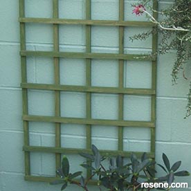 Plant support