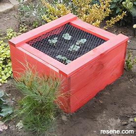 Keep the birds off with this protective strawberry planter