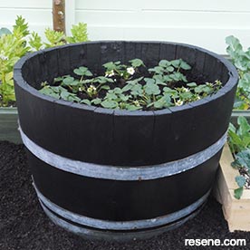 Make a strawberry planter