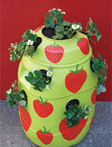 How to make a strawberry planter