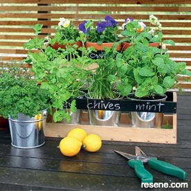 Windowsill planter boxes 