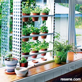 Windowsill herb planter