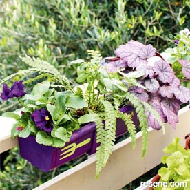 Make a gutter garden