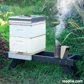 Hive stand