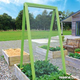A support for climbing beans, peas or sweet peas