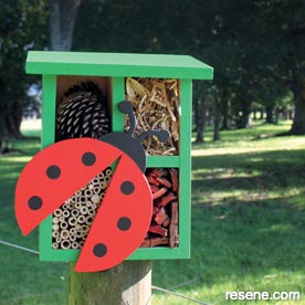 How to make a home for beneficial bugs