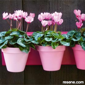 Decorative hanging planter