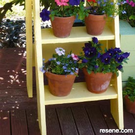 Create this simple display ladder for your favourite potted plants