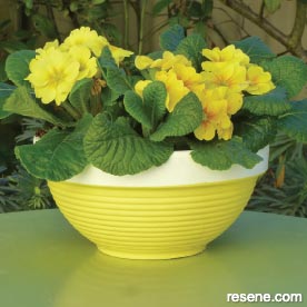Winter planter 