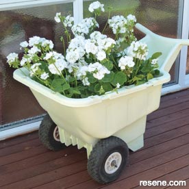 Grow salad greens or beautiful flowers in an old plastic barrow