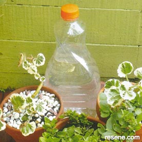 3 great ideas to keep your pots watered