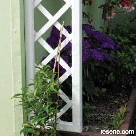 Refresh old trallis fencing with a clean and repaint