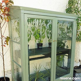 Make a succulent planter