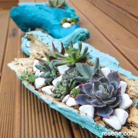 Driftwood planter