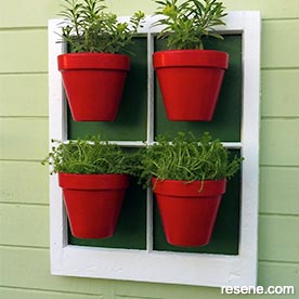 Build a display for potted plants