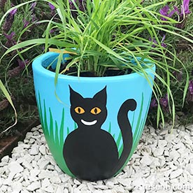 Painted plant pot with cat grass