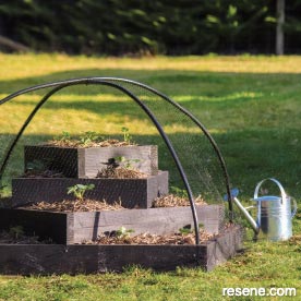 Tiered strawberry planter 