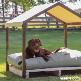 Pet projects 