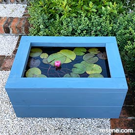 Create your own water garden