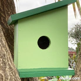 Bird house