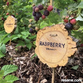 Garden markers 