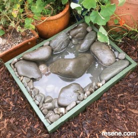 Wildlife oasis