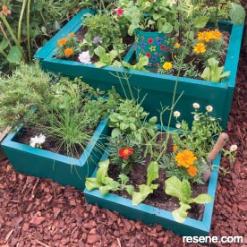 Recycled raised bed and pollinator pot 