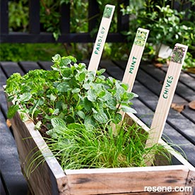 Diy kidz cool plant labels