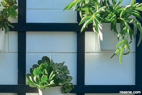 Plant pot trellis - Close up