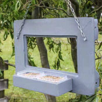 Back of the bird feeder