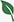 Leaf icon