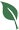 Leaf icon