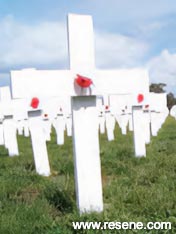 Lest we forget