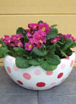 How to make a polka dot planter