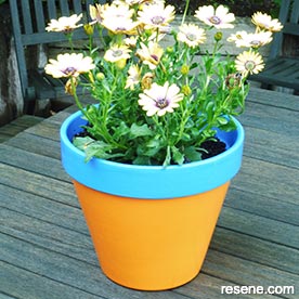 Paint a terracotta pot