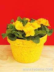 Create a crackle finish on a pot