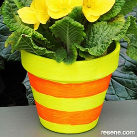 Dazzling plant pot 