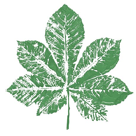 Painted leaves 3