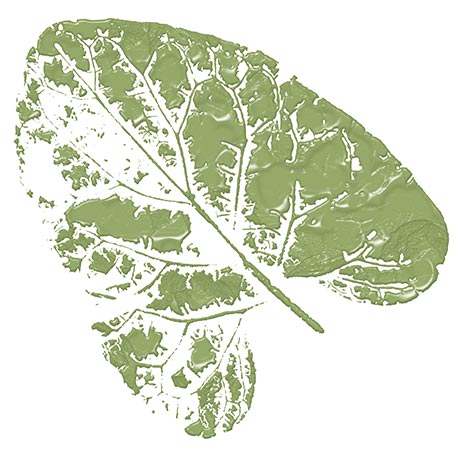 Painted leaves 5