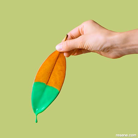 Using plant based paint products