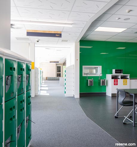 Wakatipu High School features a verdant green splashback