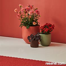 Coming up roses