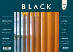 BlackWhite 11
