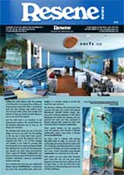 Resene newsletter issue 3 2011