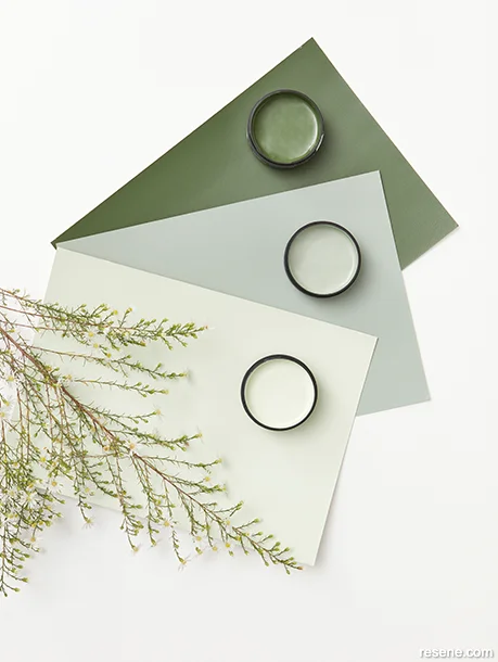 Moodboard showing Resene greens
