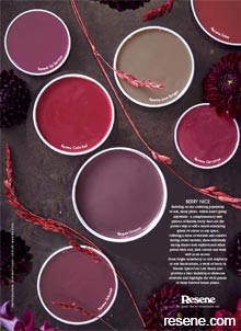 Resene berry colours