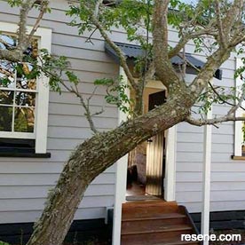Grey cottage exterior